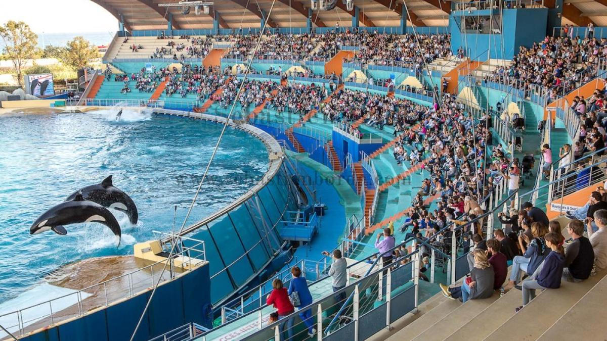 Gite Lapaz/Jacuzzi Prive/Piscine Ντραγκινιάν Εξωτερικό φωτογραφία